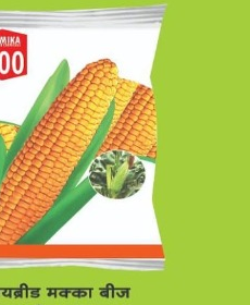 AMIKA 500
