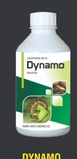 DYNAMO