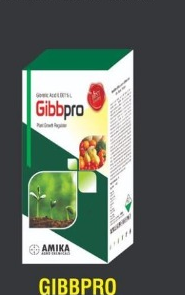 GIBBPRO